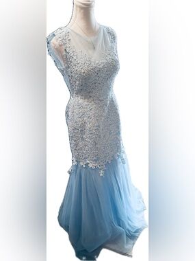 Jaeden Light Blue Lace Appliqué Illusion Neck Maxi Gown